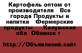 Картофель оптом от производителя - Все города Продукты и напитки » Фермерские продукты   . Калужская обл.,Обнинск г.